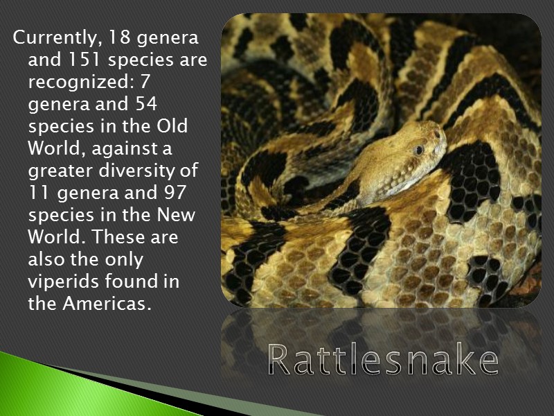 Currently, 18 genera and 151 species are recognized: 7 genera and 54 species in